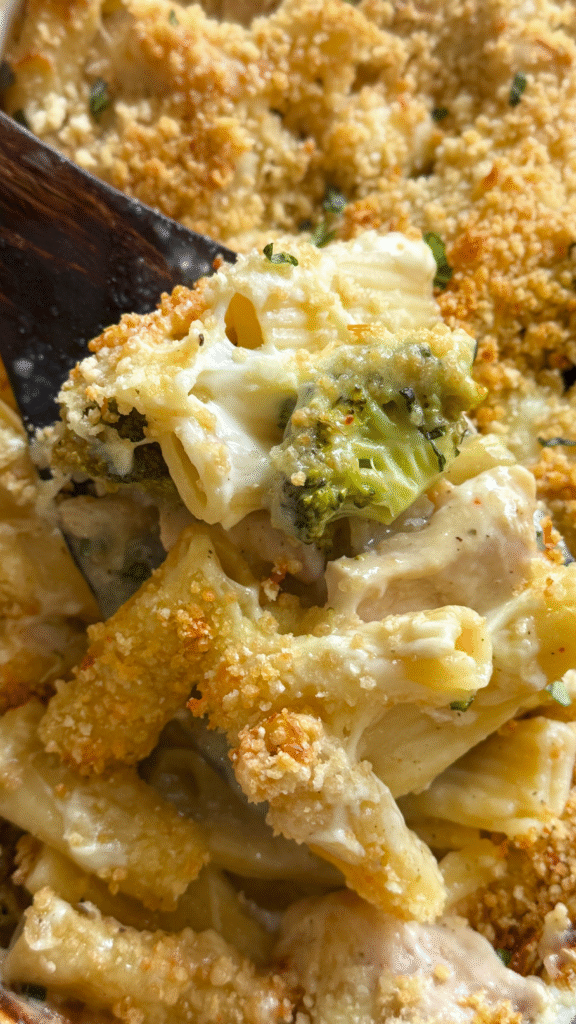 chicken & broccoli alfredo pasta bake
